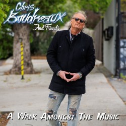 Chris Boudreaux And Friends - A Walk Amongst The Music (CD)